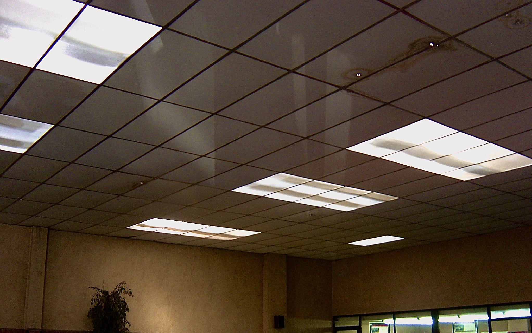 Servicio de Techados